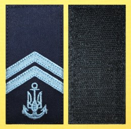 Старшина 2 статті синий